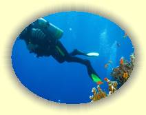 IMG_2007_05_29 14_23_22 * 3072 x 2304 * (594KB)